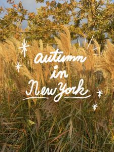 [NYC留学記] ニューヨークの秋をたっぷり堪能♡  #ニューヨーク #秋 #紅葉