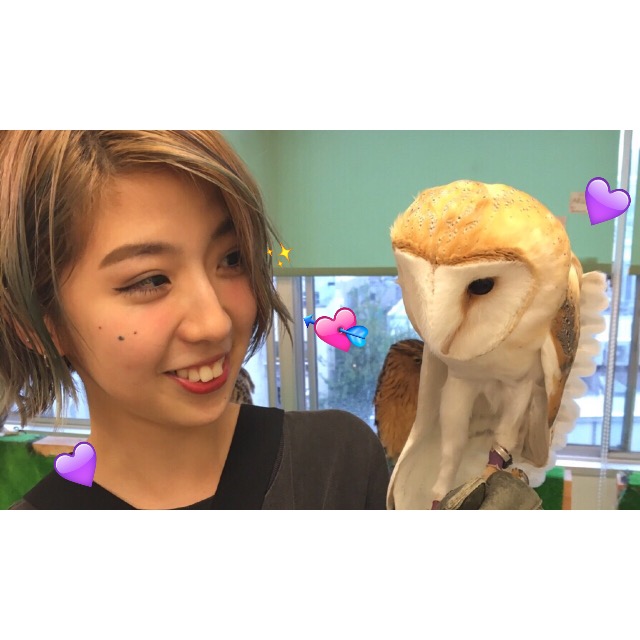 生まれて初めて「ふくろうカフェ」に行ってきた！とにかく癒されますメロメロです。 #harajuku #owls