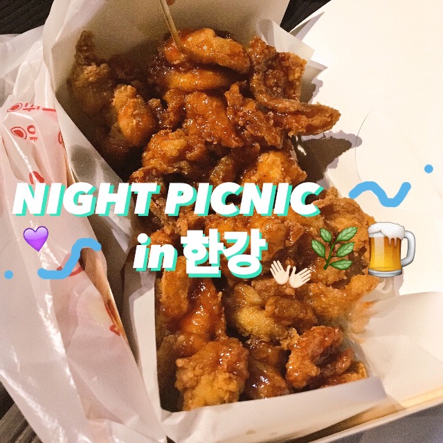 リアルな韓国LIFEを味わえる、#한강 (ハンガン)で夜ピクニック！これが最高なの♡ #KOREA #TRAVEL