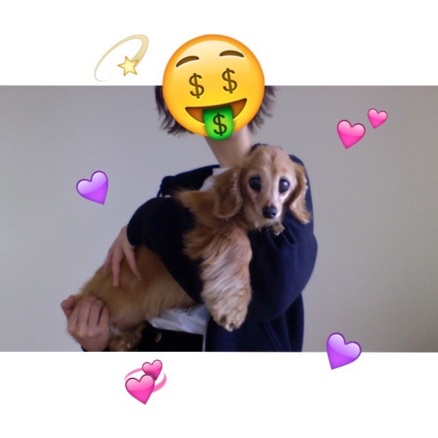 #PHOTOBOOTH の新しい使い方、ハマってます。 #MACBOOK #APPLE #LIFEWITHDOGS