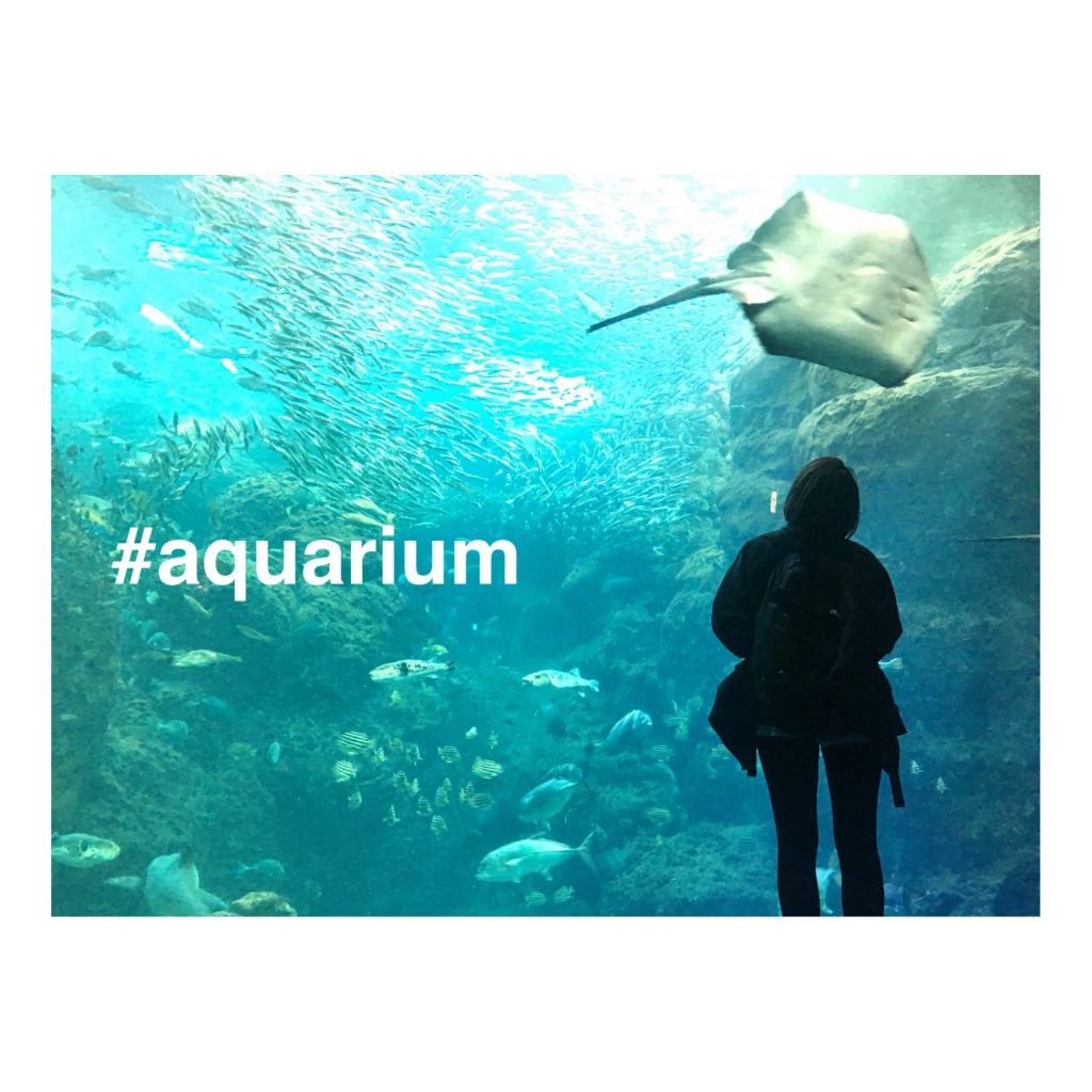 暑い夏にこそ #水族館 へ♡実はNYLONISTA必見の #INSPIRATIONAL なHOTスポットなのだ… #AQUARIUM