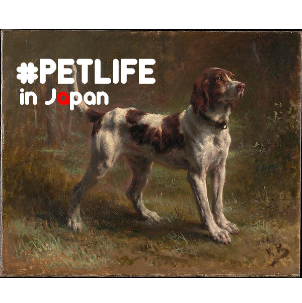 「命を買う」という事。 ー未だに、値段をつけられショーケースに入れられた動物達がいる日本。 #PETSHOP #ANIMALS