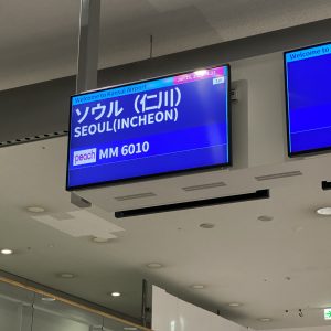 日本へ一時帰国。大雪で帰宅難民…体験談ブログ🖤