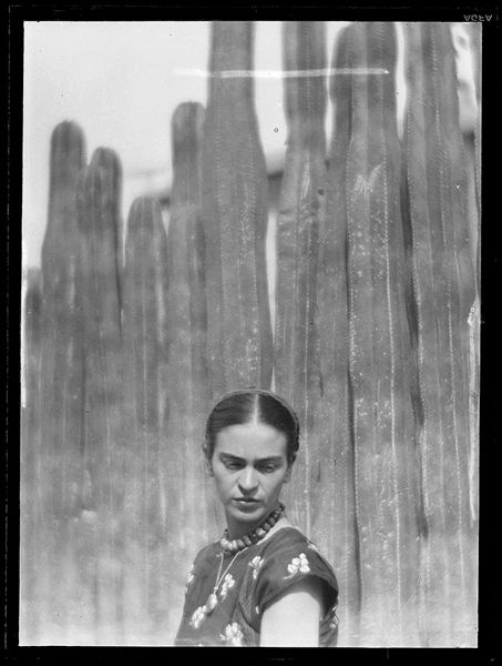 「メキシコの冒険」#FridaKahlo and Diego Rivera’s house。ੈ✩‧₊˚