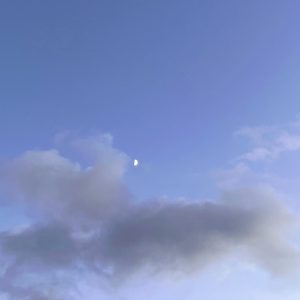 夜明けの瞑想