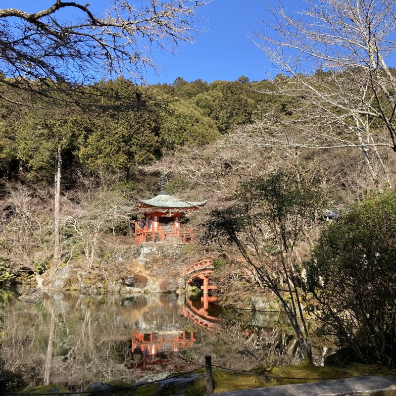 【京都スポット】豊臣秀吉がお花見を開催した醍醐寺の山頂に行ってみた⛰️