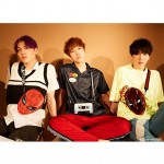 PONEYCOMB_NTB_thumbnail