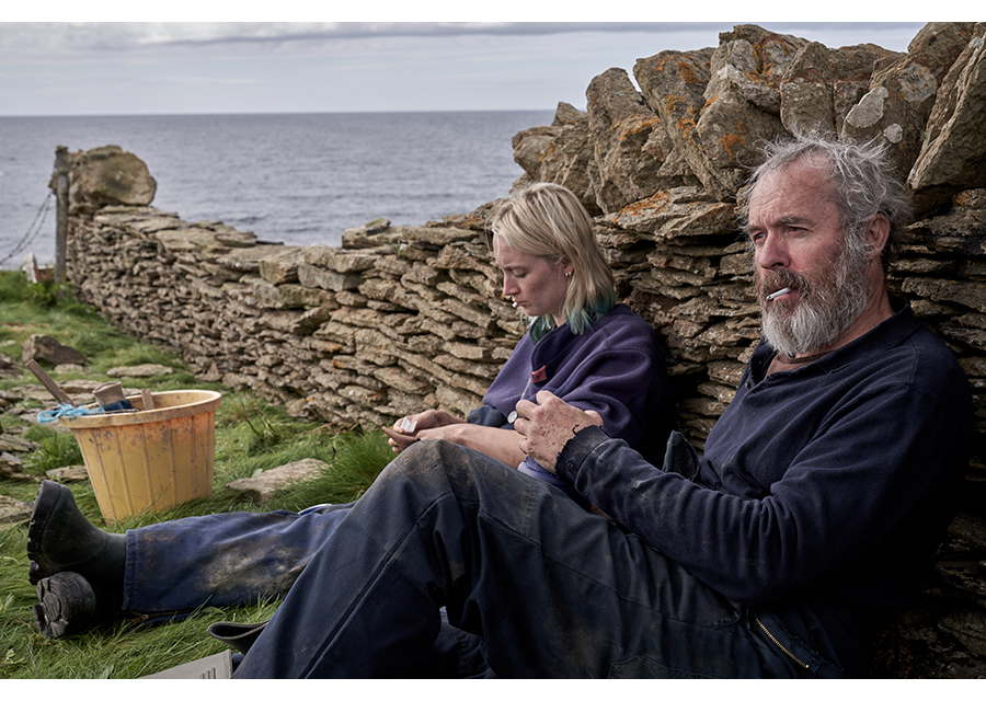 シアーシャ・ローナンが誘う再生の旅『おくびょう鳥が歌うほうへ』