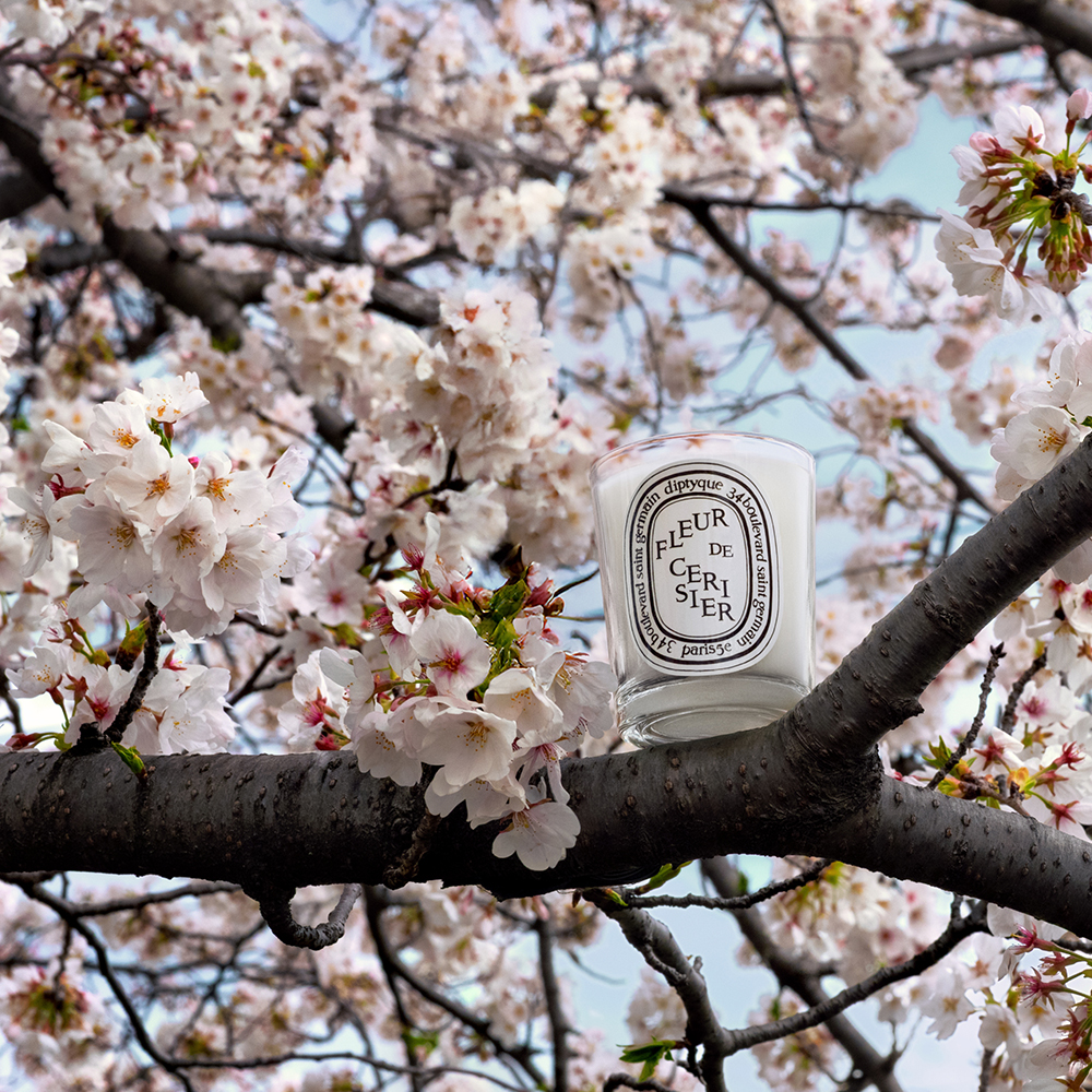 Diptyqueより春の訪れを告げる限定版キャンドル “Fleur de Cerisier”が再登場！