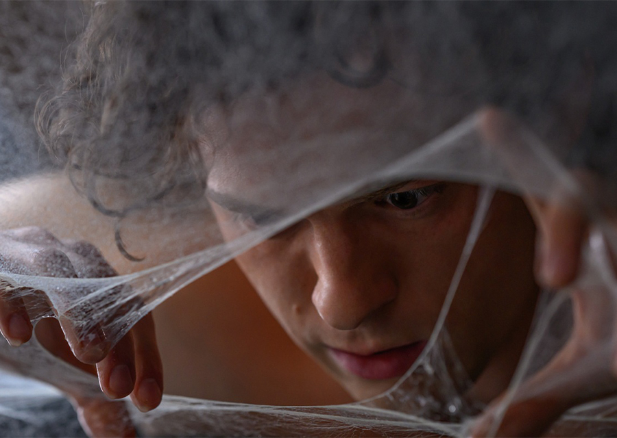 新たな戦いへ『スパイダーマン:ブランド・ニュー・デイ』