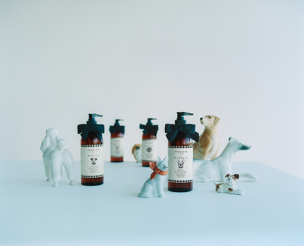 JO MALONE LONDONよりドッグ グルーミング コレクション『オレンジ ＆ シダーウッド ドッグ シャンプー』が発売！